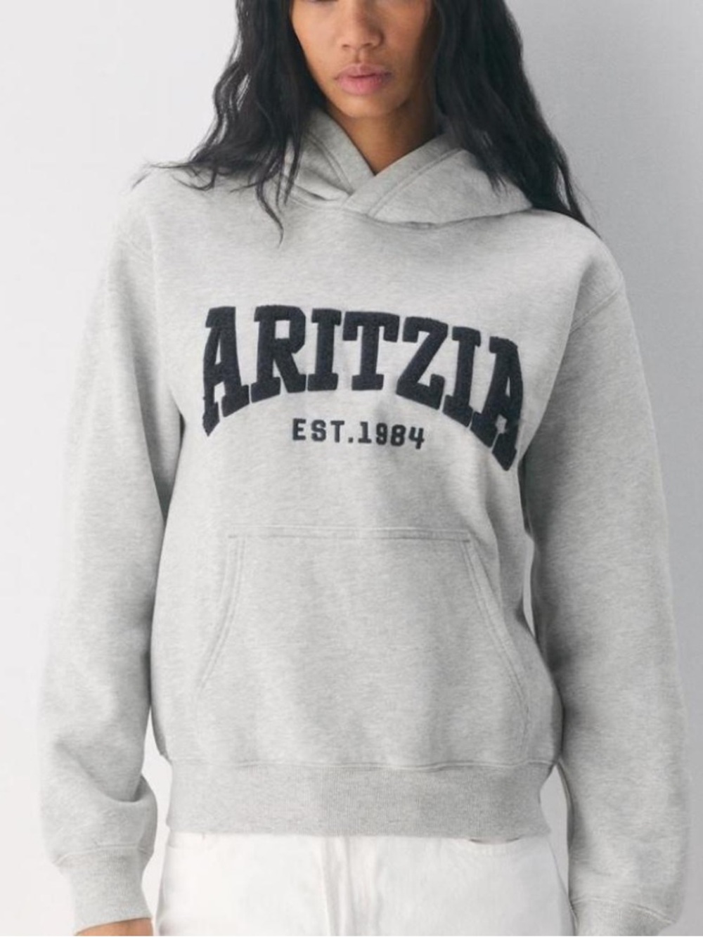 Aritzia Grey Pullover Hoodie - Classic Logo